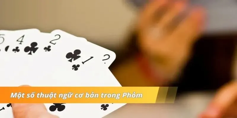 Phỏm 68 Game Bài - Trò Chơi Cá Cược Đổi Thưởng Hấp Dẫn 2025 3 Hội viên cần nắm rõ các thuật ngữ cơ bản của bài Phỏm để tham gia cá cược thuận lợi